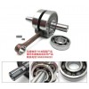 TM加強(qiáng)型摩托車曲軸軸承、發(fā)動(dòng)機(jī)軸承 電動(dòng)車軸承、電機(jī)軸承。